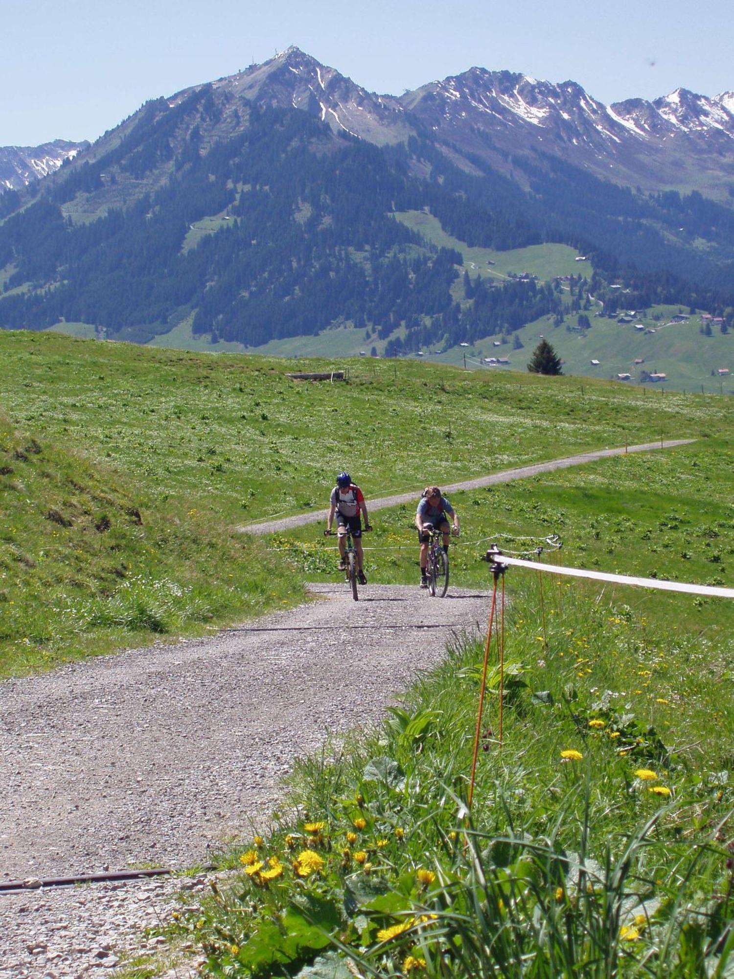 Gaestehaus Zur Faerbe Apartments Oberstdorf Exteriör bild